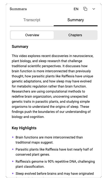 AI YouTube Video Summarizer